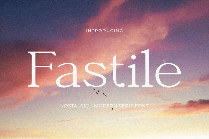 Fastile - Nostalgic Serif Font Font Download