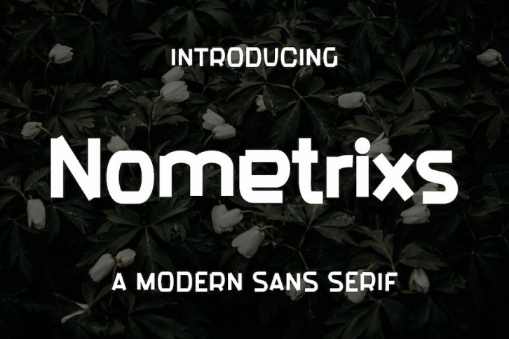 Neometrixs Font Font Download