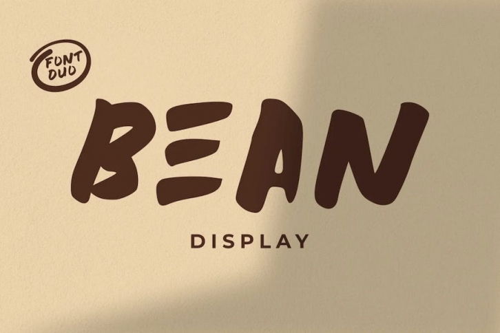 Bean Display Brush Font Font Download