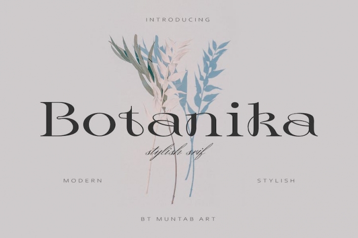 Botanika | Stylish Serif Font Download