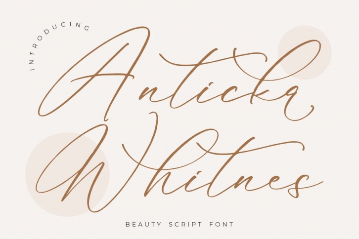 Anticka Whitnes Script Font Font Download