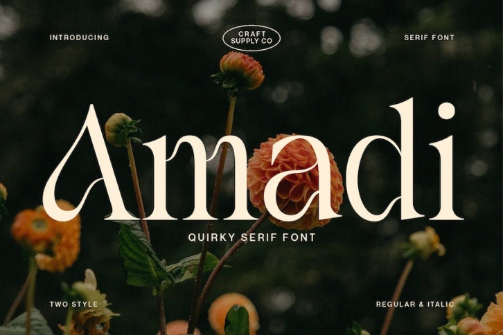Amadi - Quirky Serif Font Font Download