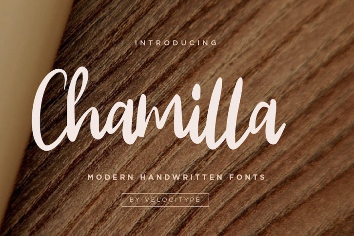 Chamilla- Handwritten Script fonts Font Download