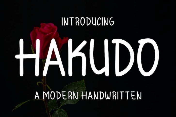 Hakudo Font Font Download