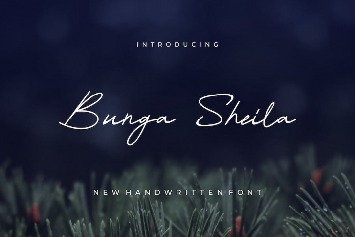 Bunga Sheila - Handwritten Font Font Download