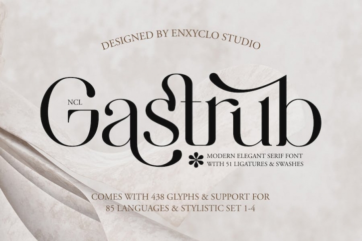 NCL Gastrub - Modern Elegant Ligature Serif Swash Font Download