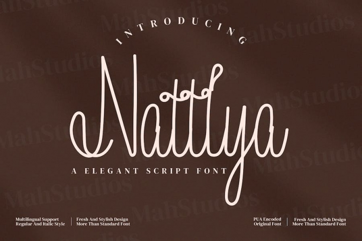 Nattlya Font Download