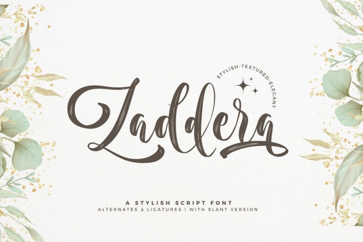 Zaddera - A Stylish Script Font Font Download