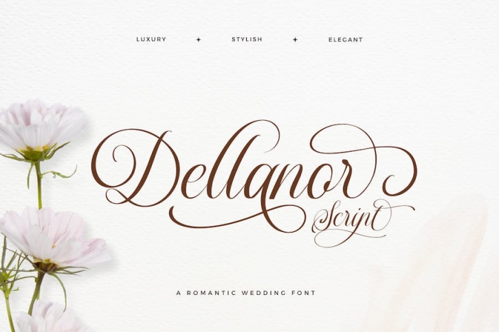 Dellanor Script - A Wedding Font Font Download