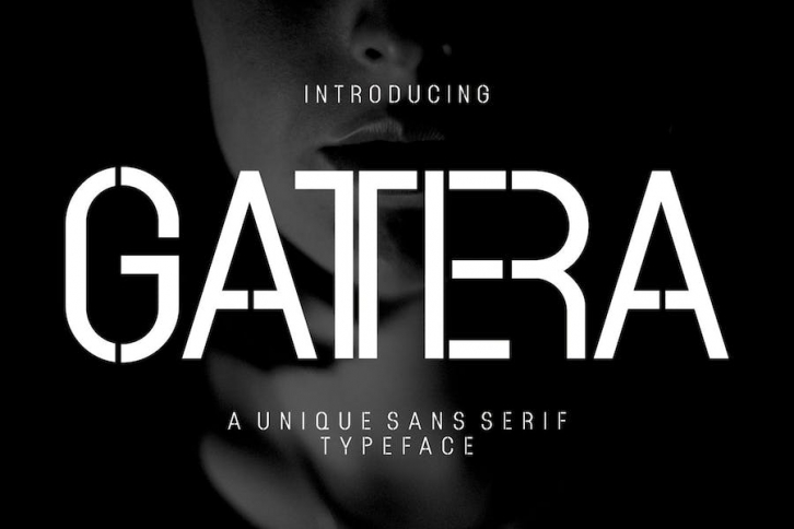 GATTERA A Unique Sans Serif Typeface Font Download