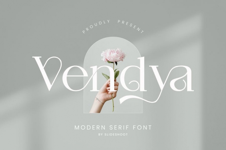 Vendya Modern Serif Font Font Download