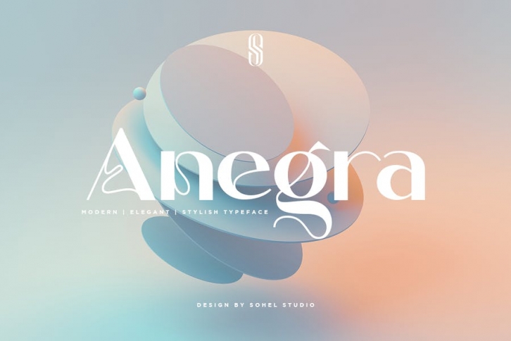 Anegra - Minimal Sans, Maximal Impact Font Download