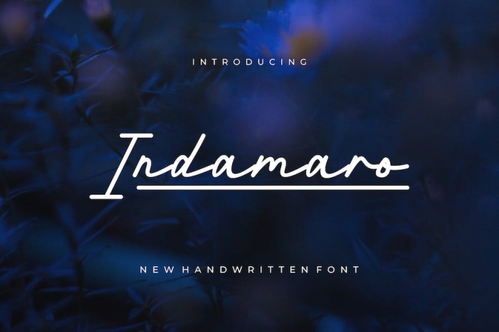 Indamaro - Handwritten Font Font Download