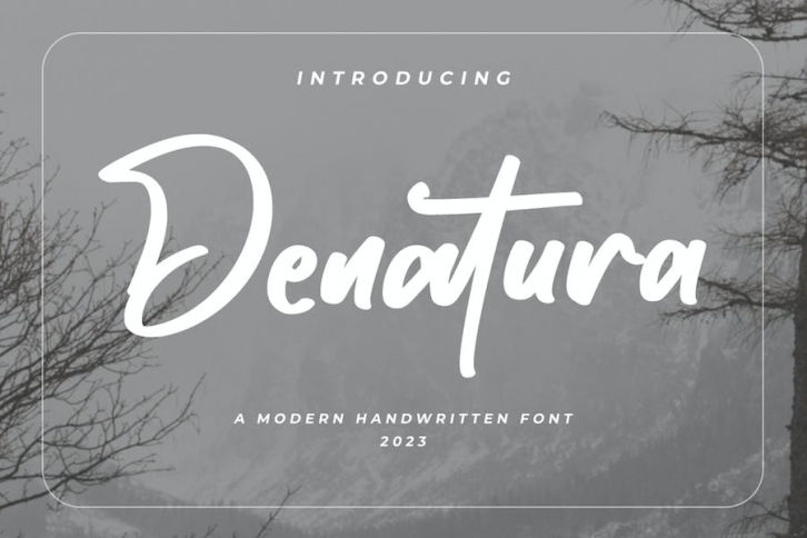 Denatura - Bold Script Font Font Download