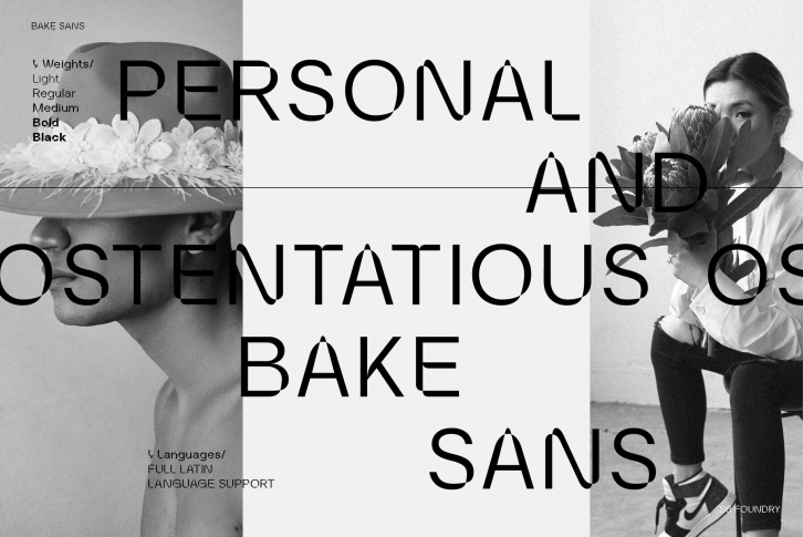 Bake Sans Font Download