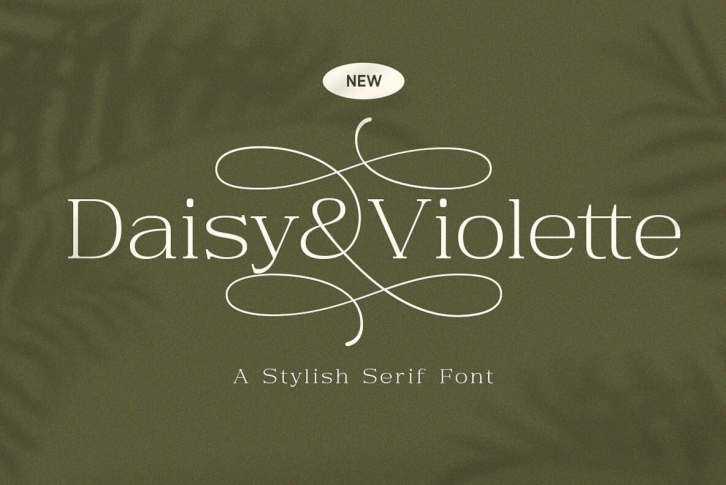 Daisy  Violette Font Download