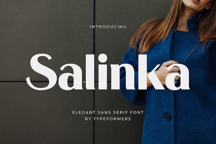 Salinka - Elegant Sans Serif Font Font Download