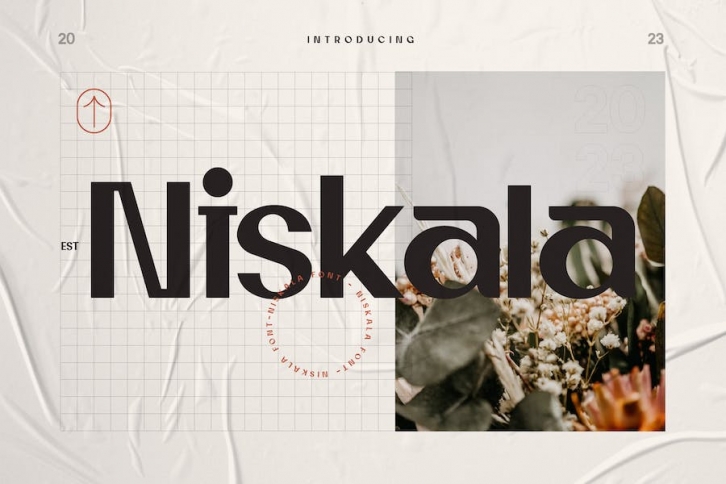 Niskala - Elegant Font Font Download