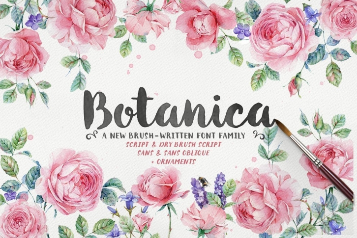 Botanica Font Download
