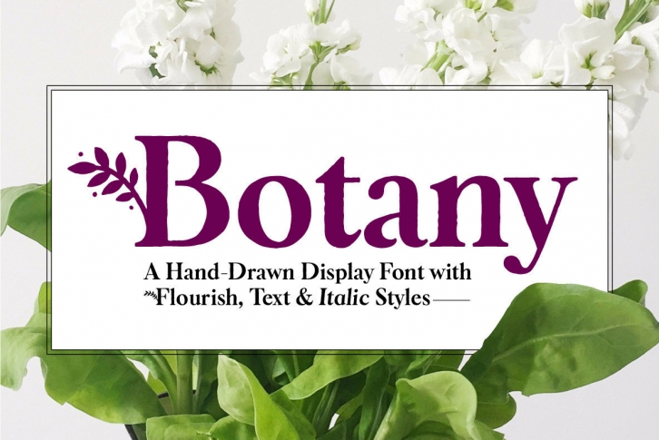 Botany Font Download