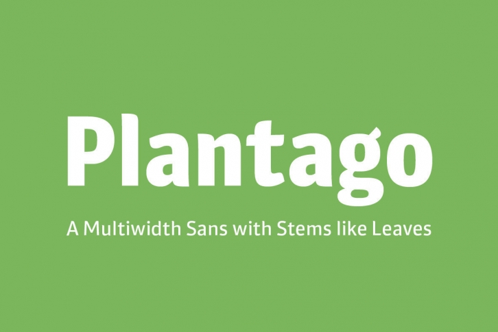 Plantago Font Download