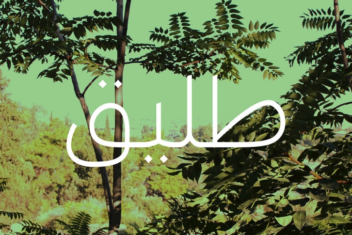 Taleeq Font Download