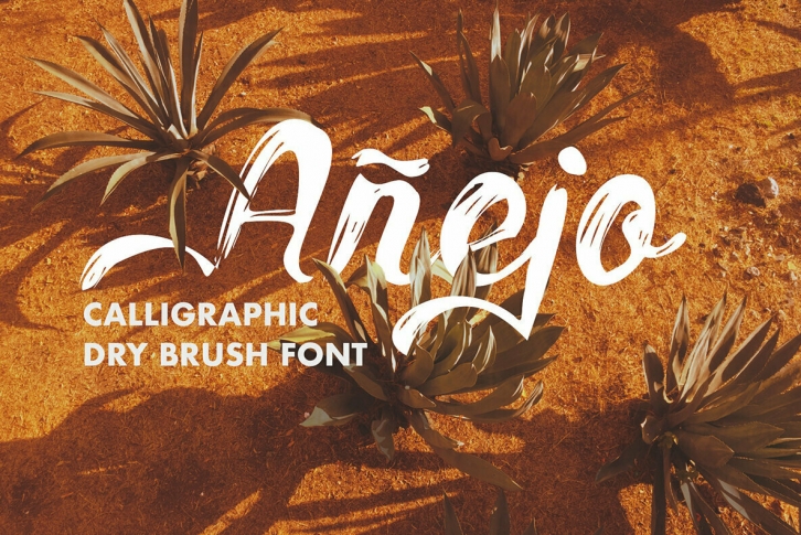 Anejo Font Download