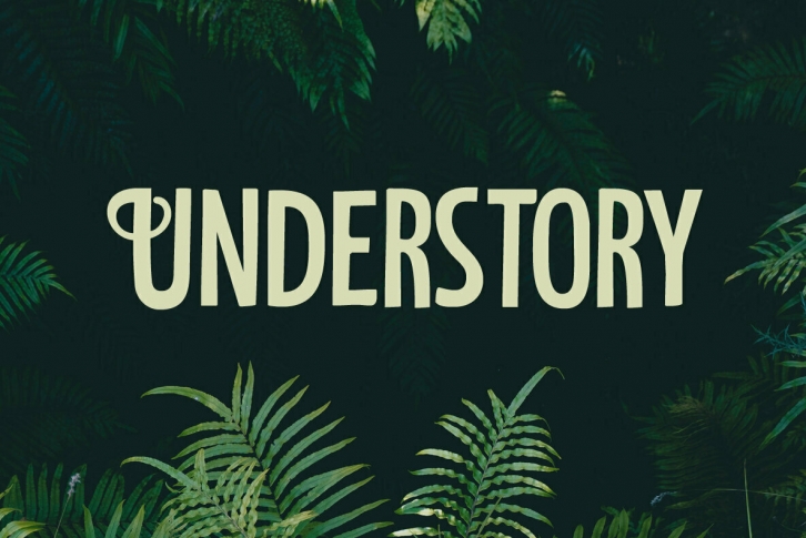 Understory Font Download