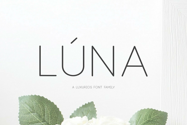 Luna Font Download