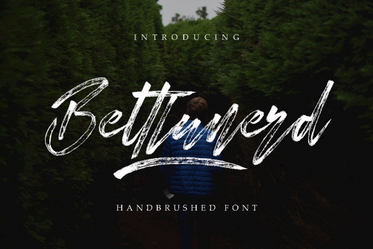 Bettlunerd Font Download