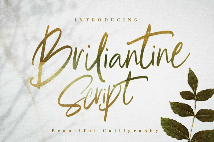 Briliantine Script Font Download