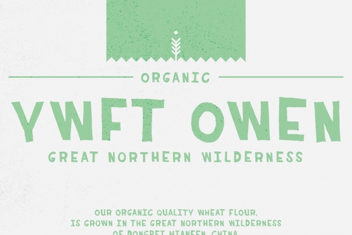 YWFT Owen Font Download