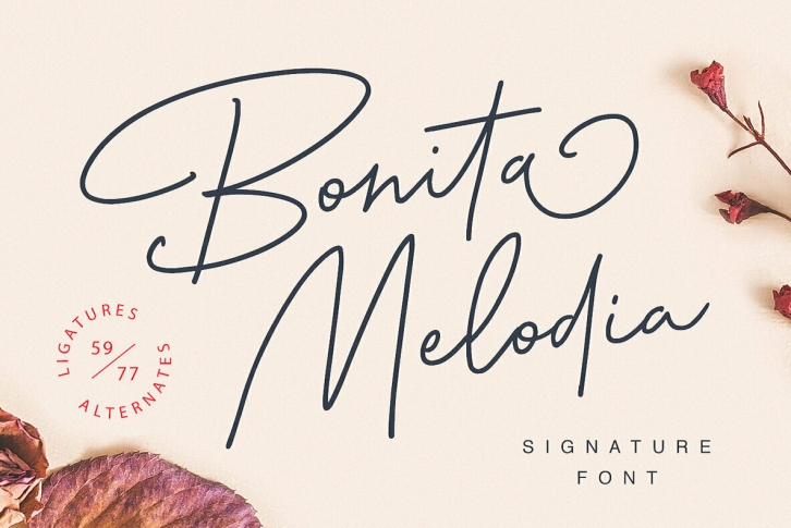 Bonita Melodia Font Download