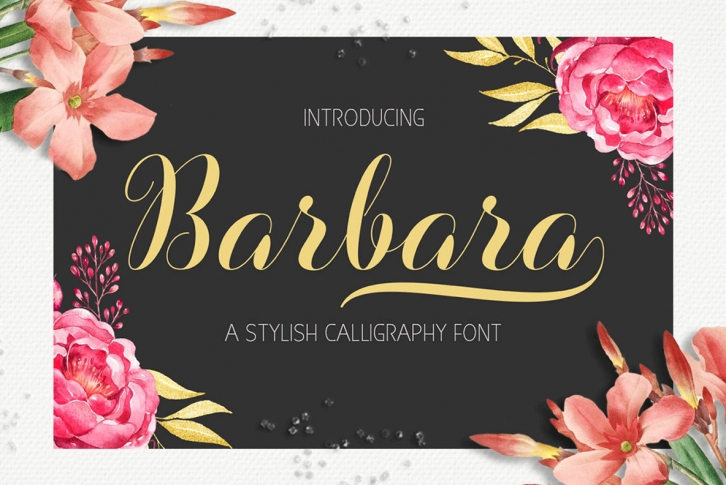 Barbara Script Font Download