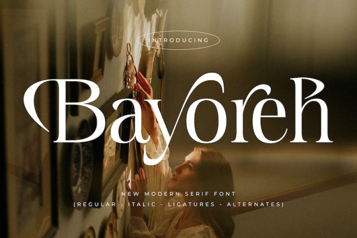 Bayoreh New Modern Serif Font Font Download