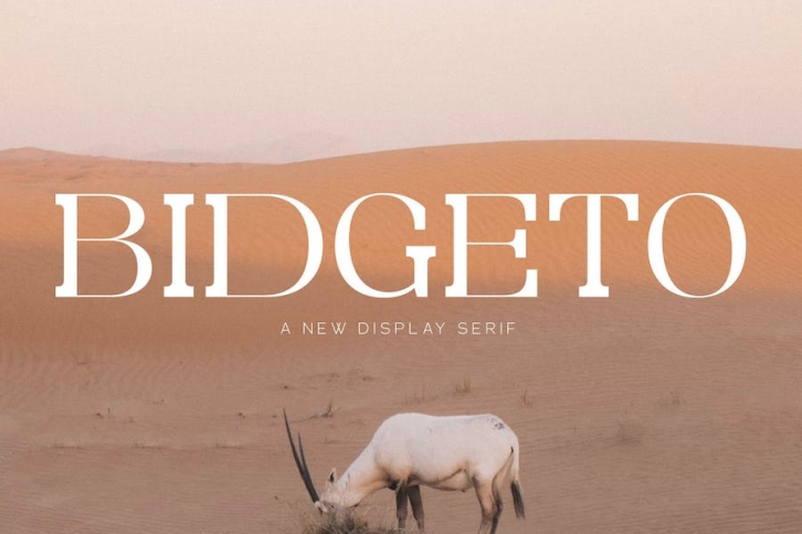 Bidgeto A New Display Serif Font Font Download