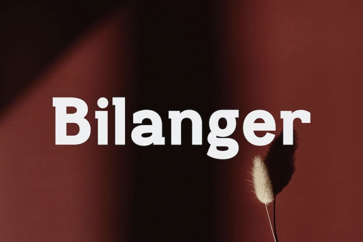 Bilanger - Modern Sans Serif Font Download