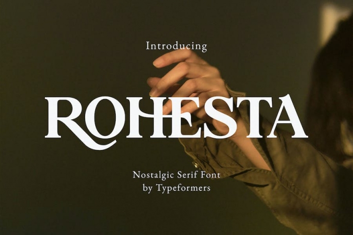 Rohesta - Nostalgic Serif Font Font Download