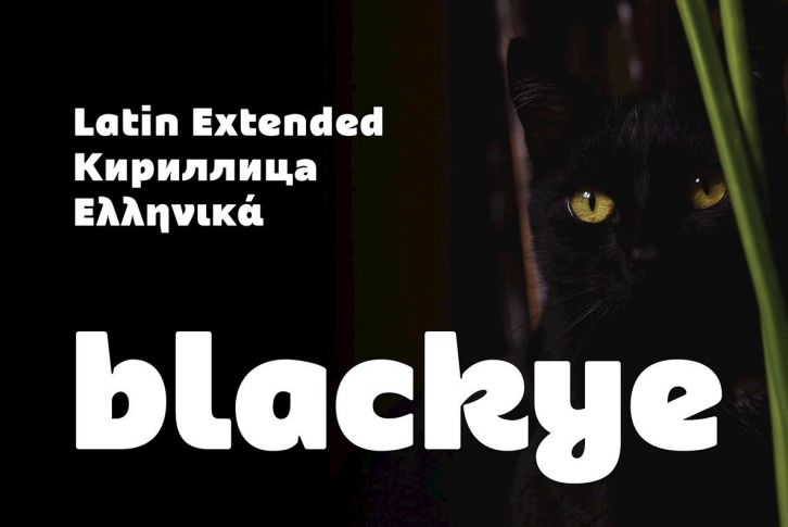 Blackye Font Download