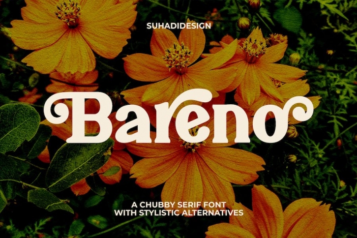 Bareno Modern Retro Serif Font Font Download