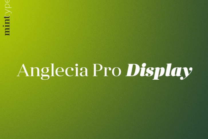 Anglecia Pro Display Font Download