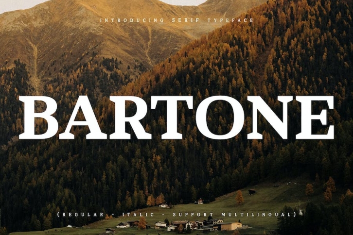 Bartone Serif Typeface Font Font Download
