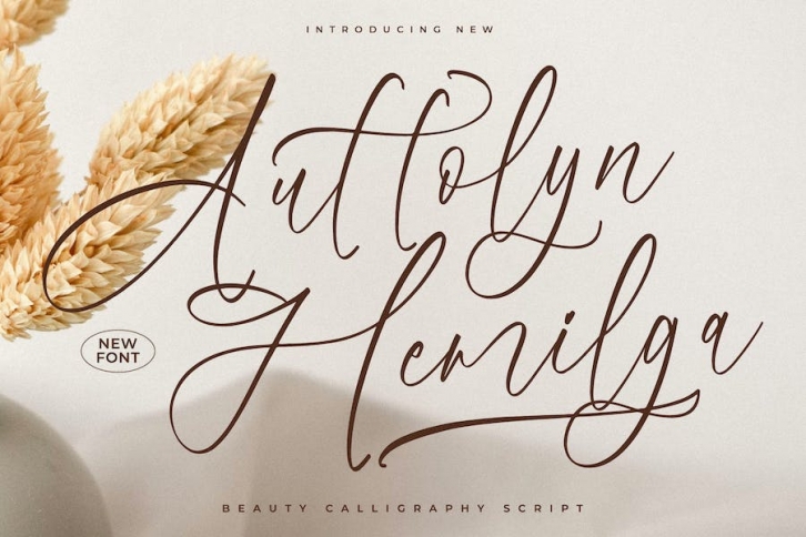 Auttolyn Hemilga Calligraphy Script Font Font Download