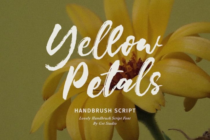 Yellow Petals Script Font Download