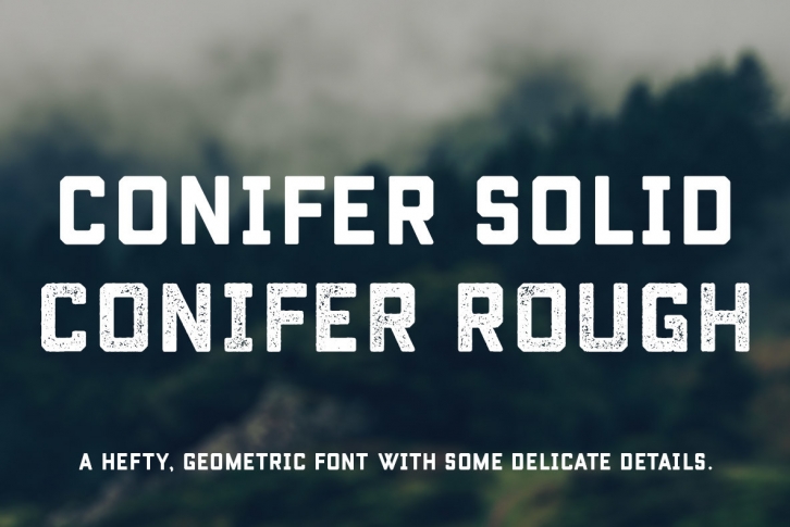 Conifer Font Download