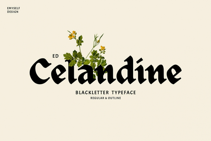 ED Celandine Font Download