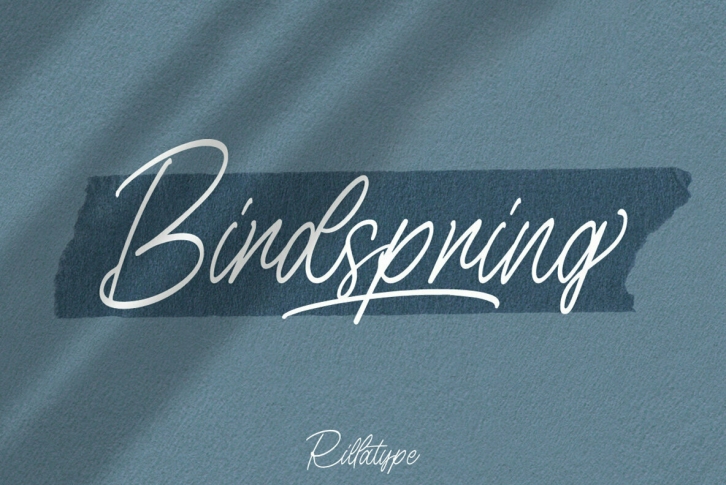 Birdspring Signature Font Download