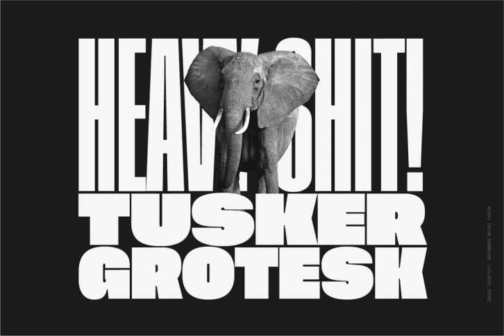 Tusker Grotesk Font Download