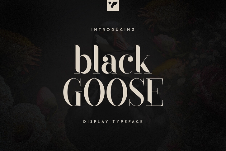 Black Goose Font Download