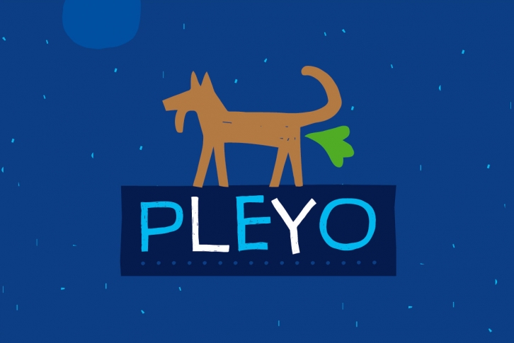 Pleyo Font Download